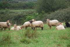 Calendario-2019-Garazi-Foruria-img3