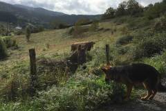Calendario-2020-Inar-Sarriugarte-img1