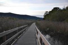 Miren-Goti-Naberan-img2