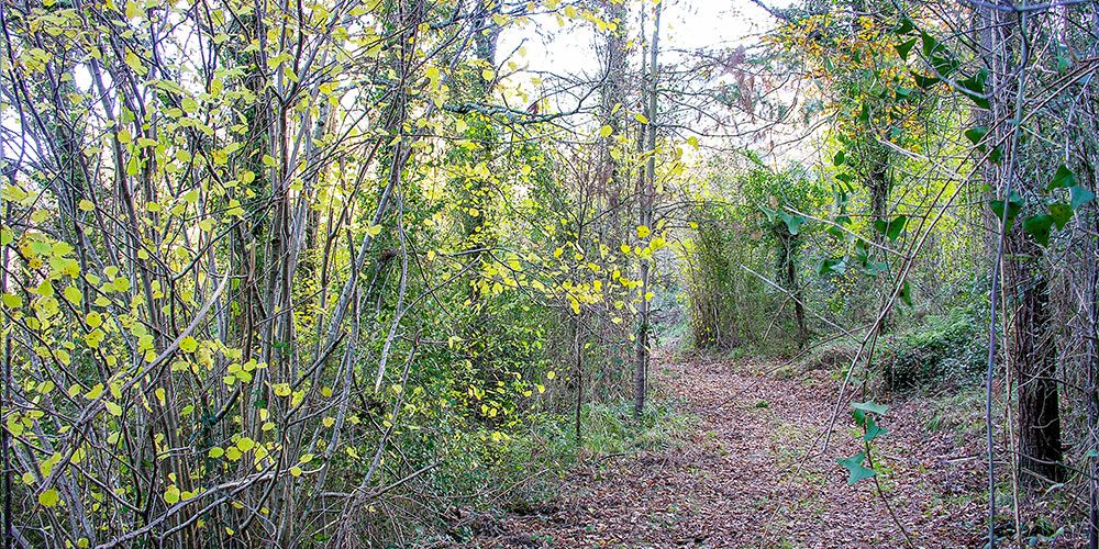 RUTA-SAN-MARTIN-2